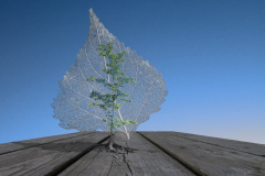 Die Erinnerung bleibt, 2012, surreale Fotomontage 30 cm x 40 cm, Wolfram-Keller 