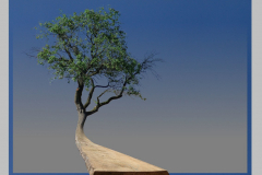 Das Leben geht weiter, 2009, surreale Fotomontage 30 cm x 40 cm, Wolfram-Keller